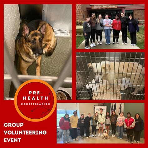 Pre-Health Constellation of The Ohio State University ...