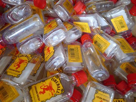 Fireball Lot 15 Mini Bottles 50-ml Alcohol Liquor Cinnamon | Etsy