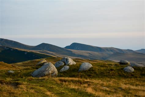 Grass Field Photography 的图像结果