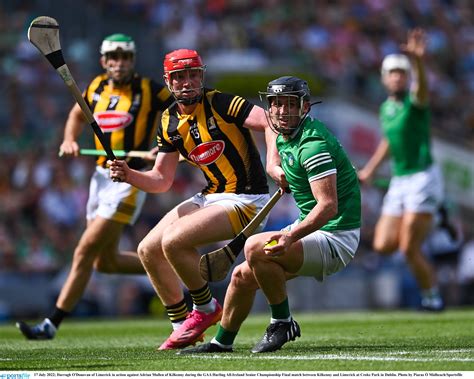 All-Ireland Hurling Final: Kilkenny v Limerick - what time is throw-in ...