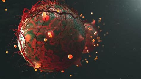 Image result for Cell Structure Animation