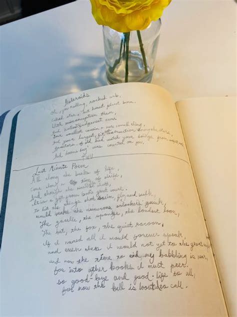 Science Notebook Example 的图像结果