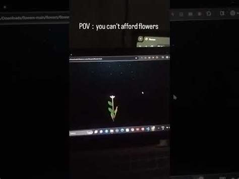 Blossoming Flowers at Magical Night Animation in Pure CSS | Demo Coding