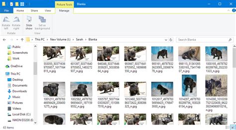 Files Explorer 的图像结果