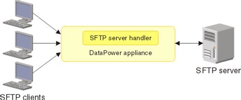 Internet Protocol Chapter Notes - Computer Application: Class 10 PDF ...