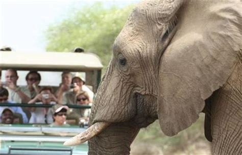 Spect Africa - Day Tours (Kruger National Park) - All You Need to Know ...