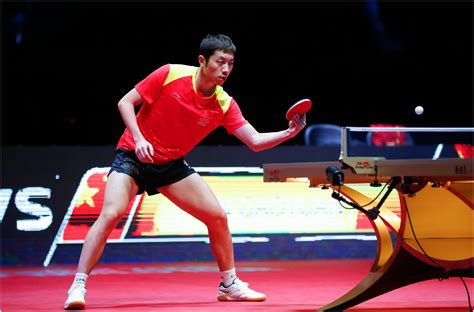 乒乓球视频教程合集(25套) 最全的乒乓球经典教学大全_华人资源网