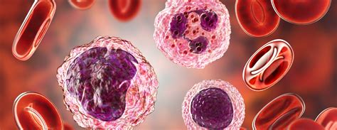 Low In Lymphocytes Means