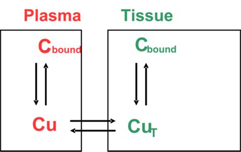 Tissue Distribution 的图像结果