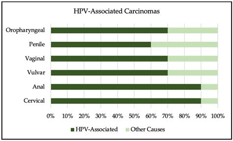 Human Papillomavirus and Associated Cancers: A Review