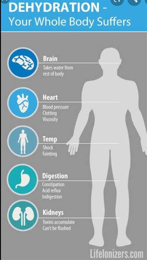 What would happen if you do not drink water for 24 hours in a hot ...