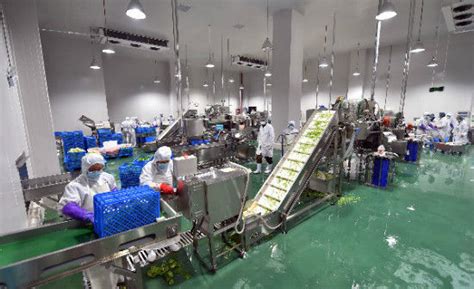 冰淇淋生产线-冰淇淋生产设备 - 温州市尚运轻工机械有限公司