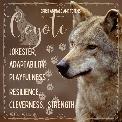 Coyote symbolism meaning – Artofit