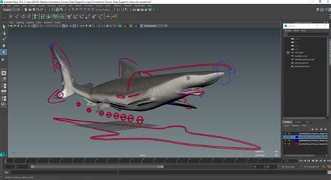 Carcharhinus Porosus Shark Rigged for Maya 3D | 3D Molier International