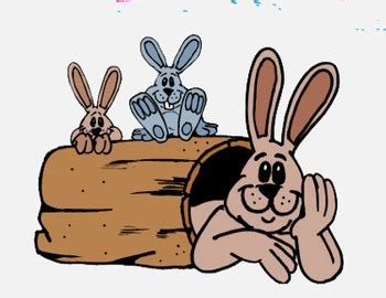 First Grade HM Vocabulary Cards The Bunnies and The Fox by Fun in First ...