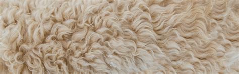 Download wallpaper texture, wool, skin, section textures in resolution ...