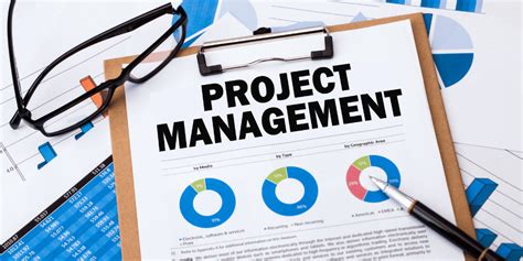 Image result for Program vs Project Manager