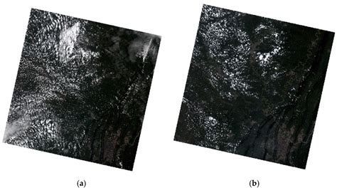 A Novel Feature-Level Fusion Framework Using Optical and SAR Remote ...