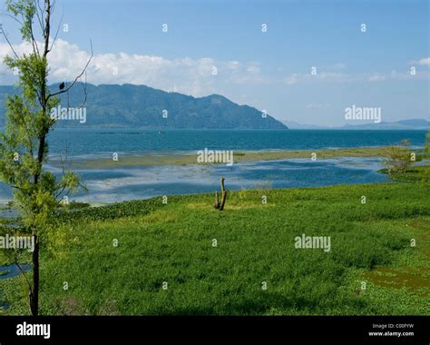 Honduras. Yojoa lake Stock Photo - Alamy