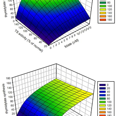 Image result for Purine Synthesis Folate