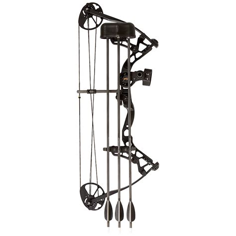 Cheap Compound Bow 的图像结果