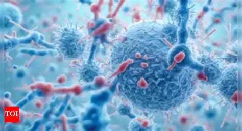 Gujarat HMPV Case: Gujarat’s first HMPV patient in ‘stable condition ...