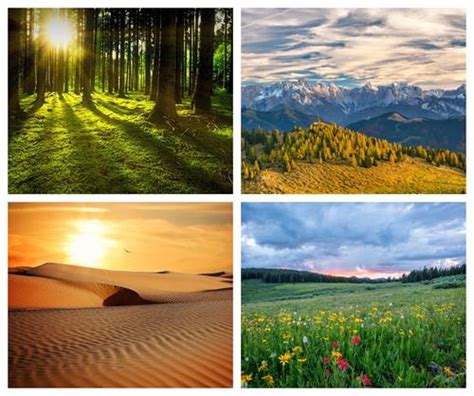 Classification of ecosystems — lesson. Science CBSE, Class 10.