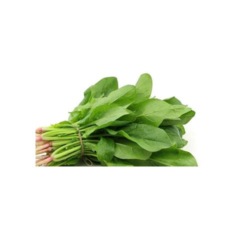 Buy spinach,Palakura,paalak Online in Visakhapatnam at best price ...