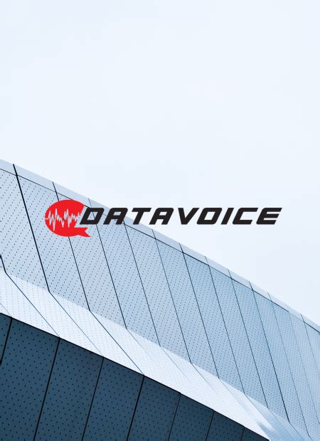 Data Voice 的图像结果