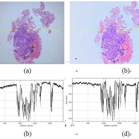 Image result for Rolo Algorithm Explained