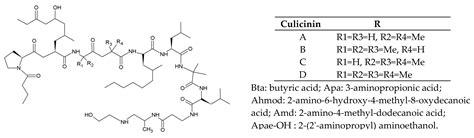 Diversity of Linear Non-Ribosomal Peptide in Biocontrol Fungi