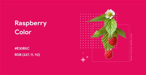 Raspberry Color 的图像结果