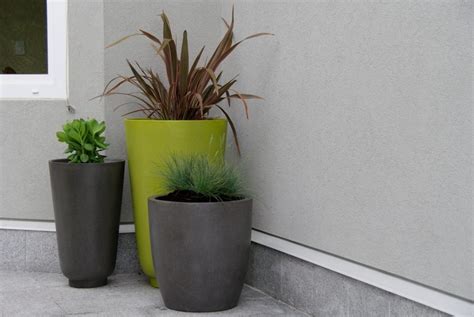 Image result for Types of Plant Containers