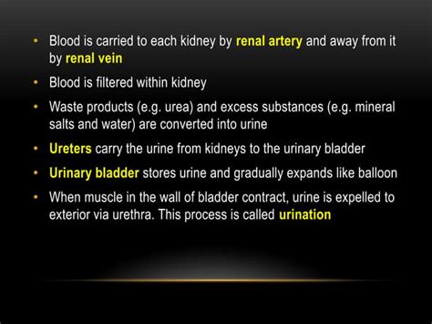 Image result for Chapter 12 Excretion