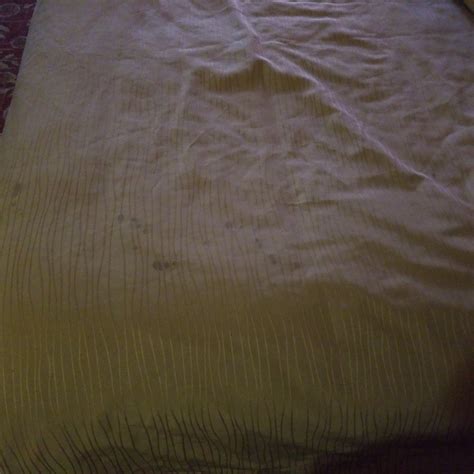 QUALITY INN VINELAND - MILLVILLE - Prices & Hotel Reviews (NJ)