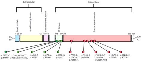 Fibrodysplasia Ossificans Progressiva: A Challenging Diagnosis