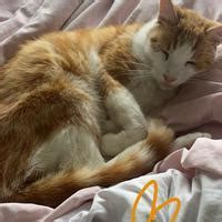 Math Help GCSE 的图像结果