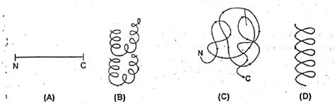 What kinds of the structures of proteins are shown in the above figure?