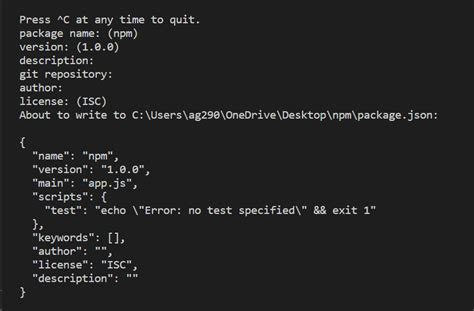 Image result for Npm Program
