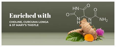 Buy Swisse Liver Detox (Australia's No.1 Liver Health Product) with ...