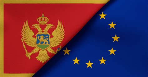 EU MDR Language Requirements for Devices in Montenegro - IFU