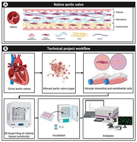 Bioengineering Examples 的图像结果