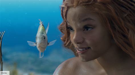 What kind of fish is Flounder in The Little Mermaid?