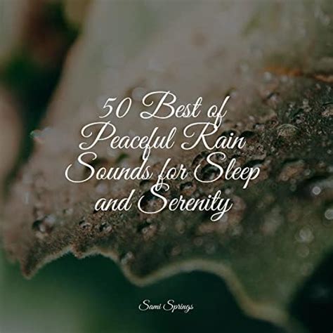 50 Best of Peaceful Rain Sounds for Sleep and Serenity by Mother Earth ...