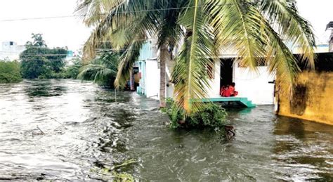 ஸ்ரீவில்லிபுத்தூரில் கண்மாய் திறந்து விடப்பட்டதால் வீடுகளுக்குள் ...