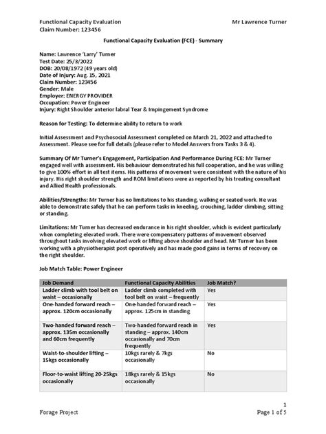 Functional Capacity Evaluation PDF 的图像结果