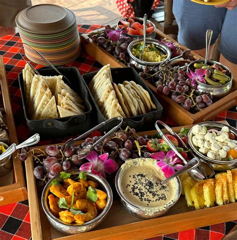 An introvert’s guide to Savor the Savanna at Disney’s Animal Kingdom ...