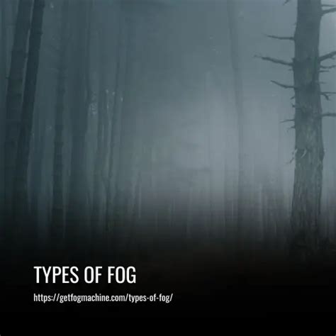 Image result for Types Fog