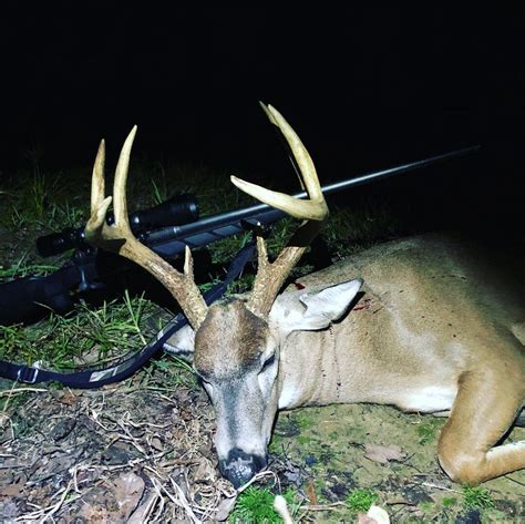 Image result for First Datbuck