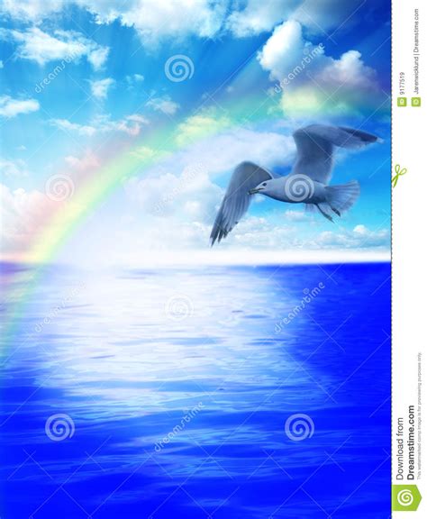 Seagull over the waters stock image. Image of clouds, lake - 9177519